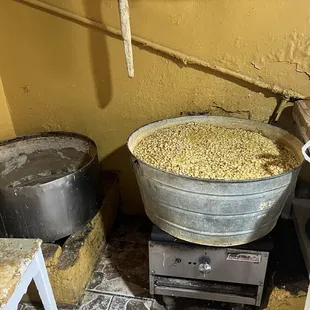 Fresh corn used for the masa