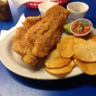 Amazing catfish!!!!!