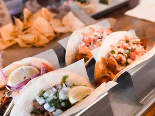 Mexican Cactus Taco Bar