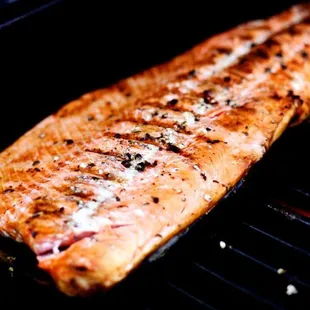 Grilled Salmon