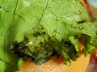 Carl's Jr.