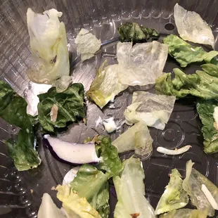 Double Chicken Tostada