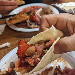 a hand holding a taco