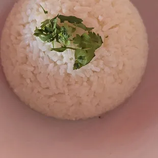 food, curry