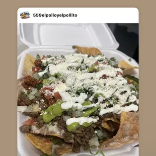 Our Instagram:
 
559elpolloyelpollito