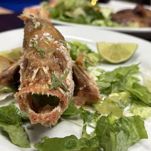 Fried fish