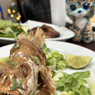 Fried fish