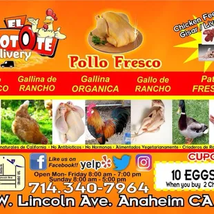 Pollo Fresco