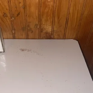 Ants all over table
