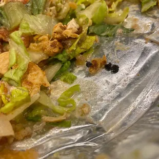 FLY IN FOOD