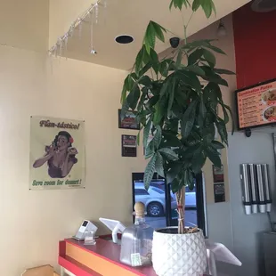 Several big plants