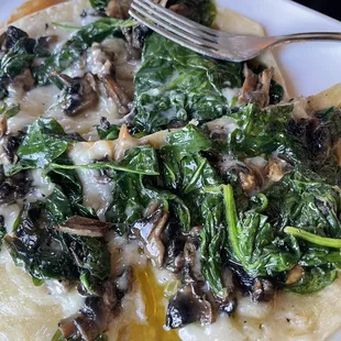 greasy smelly mess of a vegetarian quesadilla