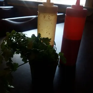 Ready to take down some soup birria de chivo