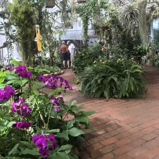 Butterfly Pavilion at the Desert Botanical Gardens