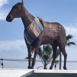 outside, sushi and sashimi