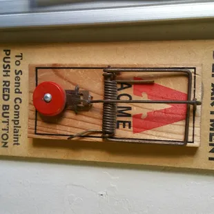 Great service, I recommend! 5 stars!