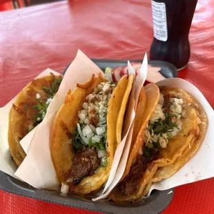 Birria tacos