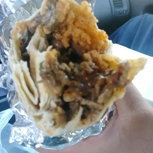 Carne Asada Burrito