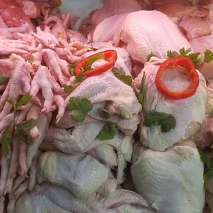 El pollo más fresco