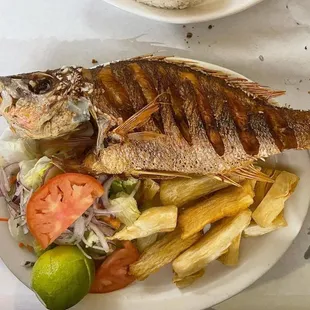 grilled seafood, grilled fish, fish, seafood, food