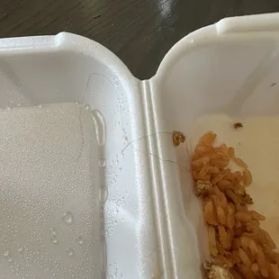 Hair found in my food.