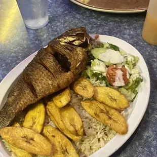 Fry Tilapia