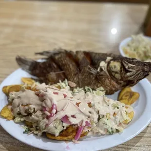 a plate of food