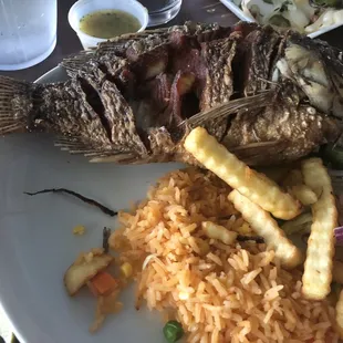 Some sort of mojarra fish