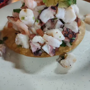 Dry tostada mixta