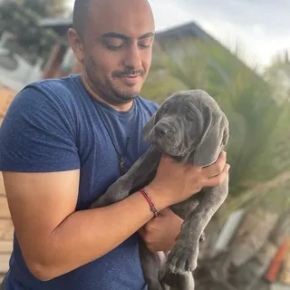 Luis Y.