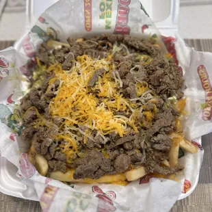 Carne Asada Fries ($13.79)