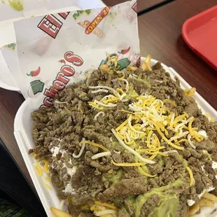 Carne asada fries