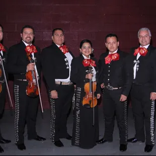 ramen and noodles, interior
