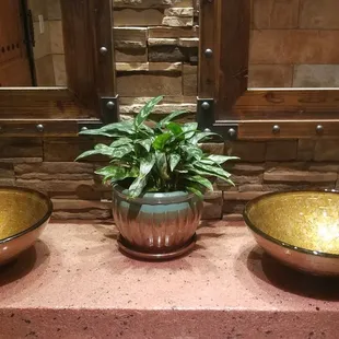 Bathroom sinks