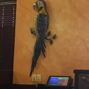 interior, sushi and sashimi