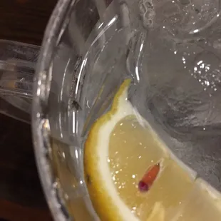 A bug in my water
