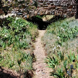 Waterway and bridge