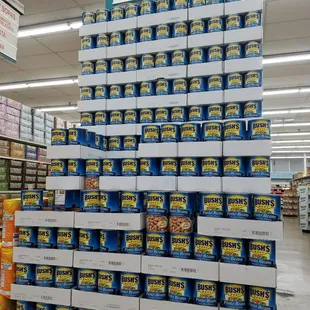 Mountain of pinto beans