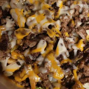 Carne Asada fries