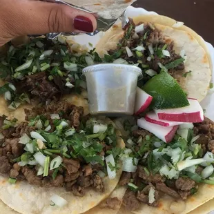 a hand holding a tortilla