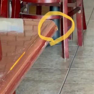 Roach