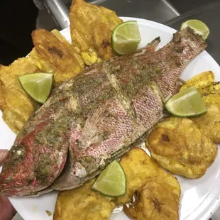 grilled seafood, food, fish, seafood, grilled fish