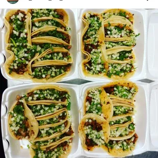 four trays of tacos