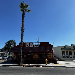 a palm tree in the foreground