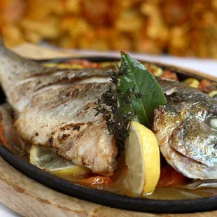 a fish in a dish