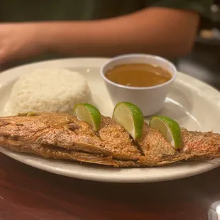 Red Snapper