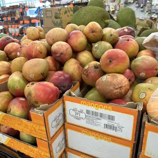 Mango $1.49 each