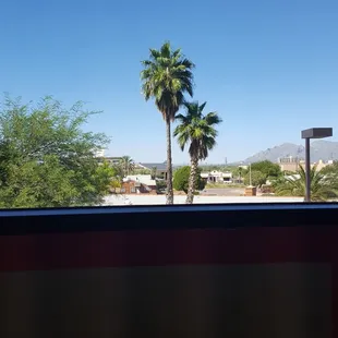 My view from the dental windows