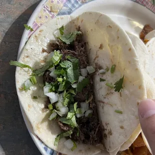 Barbacoa Taco