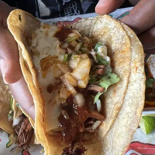 Birria taco